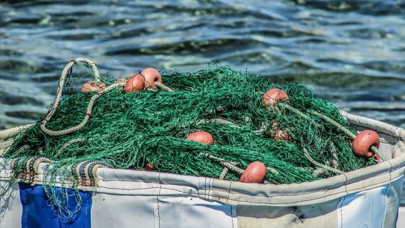 Gestión pesquera sostenible